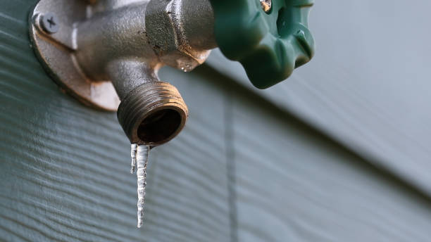 Best Shower Repair Services  in White Rock, NM